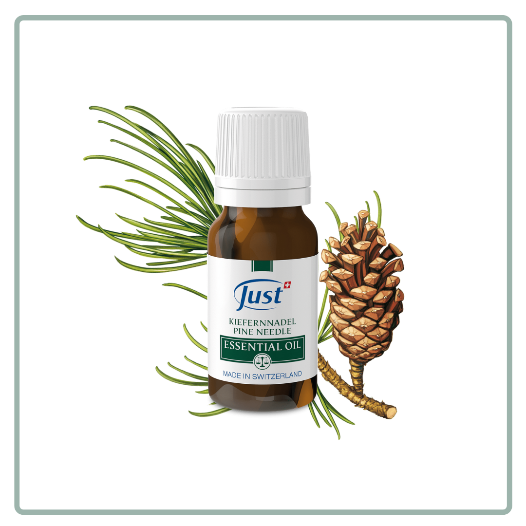 Pine Needle Essential Oil
