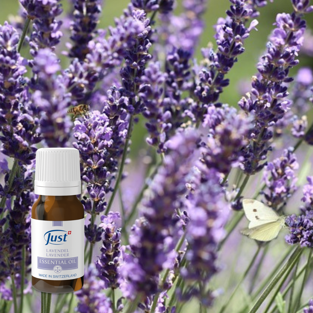 Lavender Essential Oil