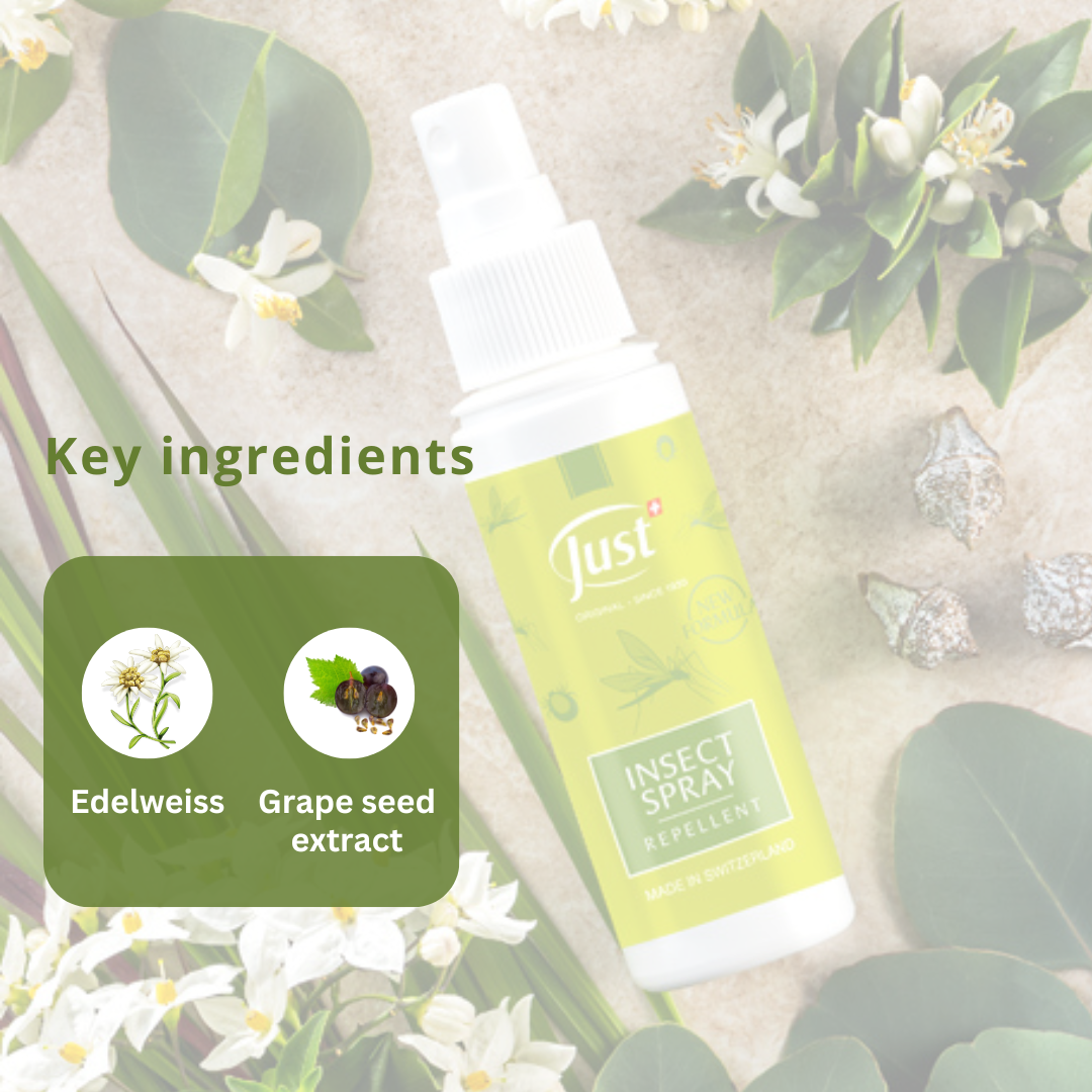 Insect Spray