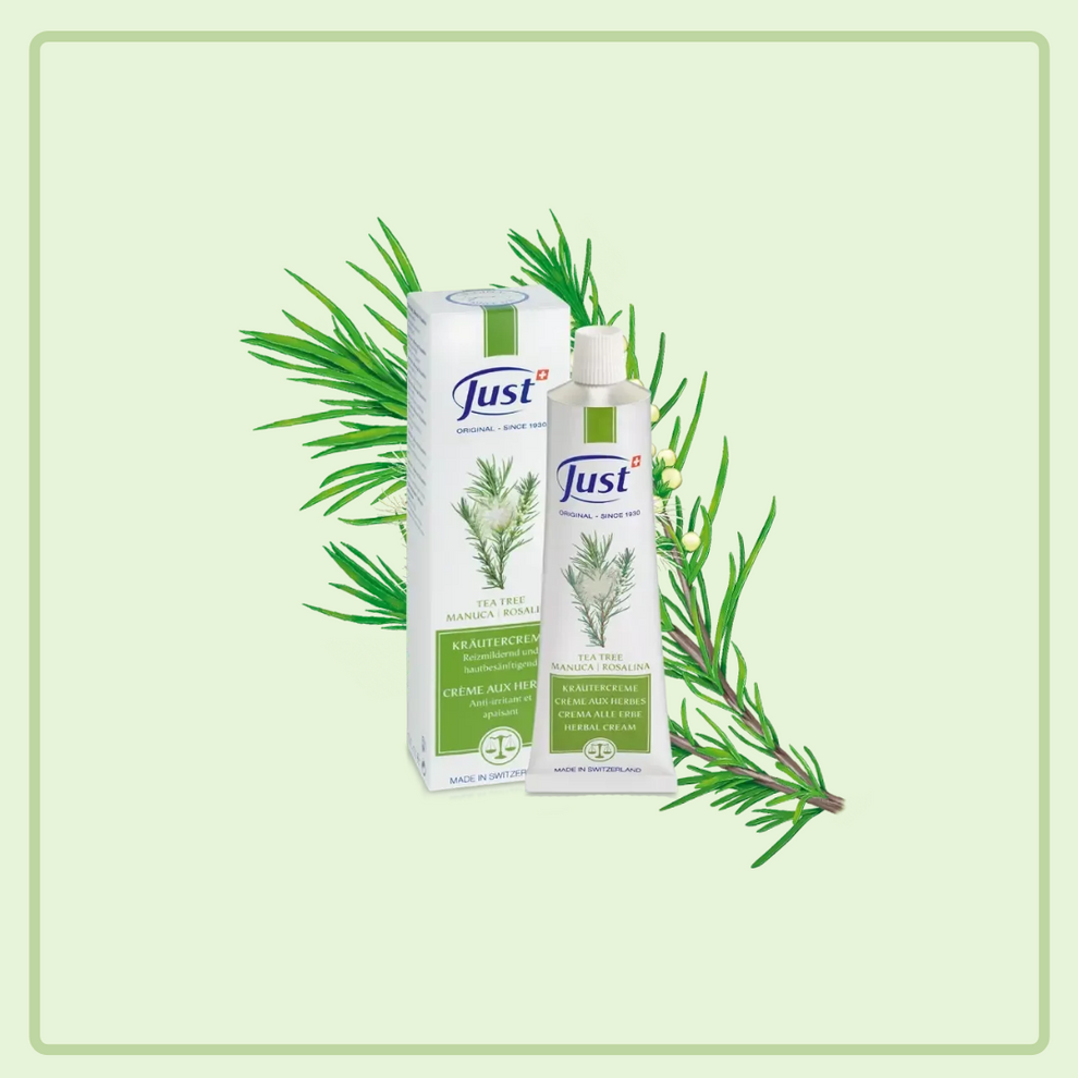 Tea Tree Manuca Rosalina Cream – Just Swiss Australia