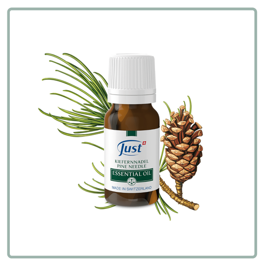 Pine Needle Essential Oil