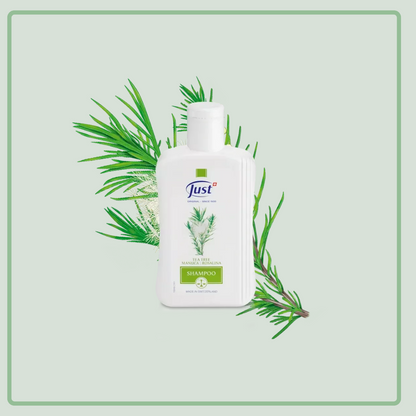 Shampoo Tea Tree Rosalina