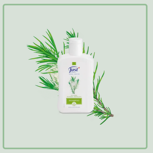 Shampoo Tea Tree Rosalina
