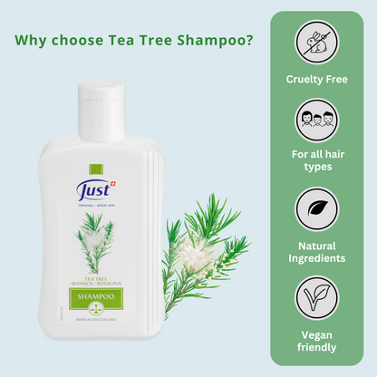 Shampoo Tea Tree Rosalina