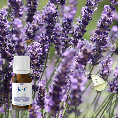 Lavender Essential Oil