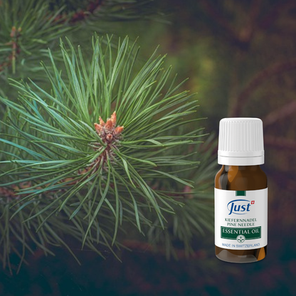 Pine Needle Essential Oil