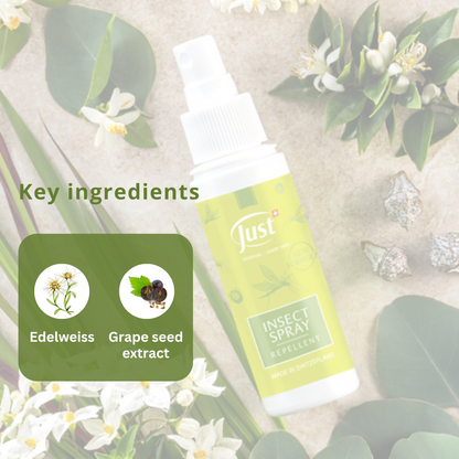 Insect Spray
